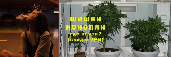 прущий лед Горно-Алтайск