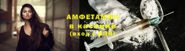 трава Гусиноозёрск