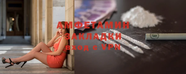 трава Гусиноозёрск
