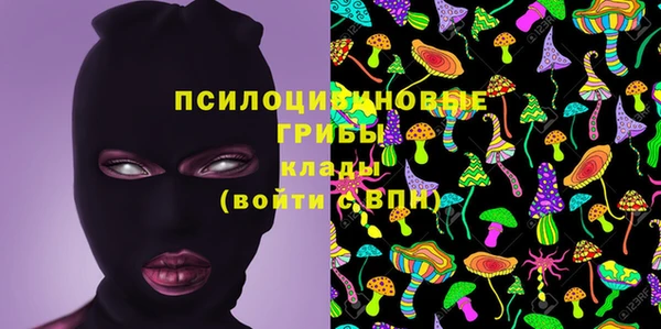 прущий лед Горно-Алтайск