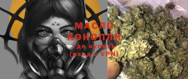 трава Гусиноозёрск
