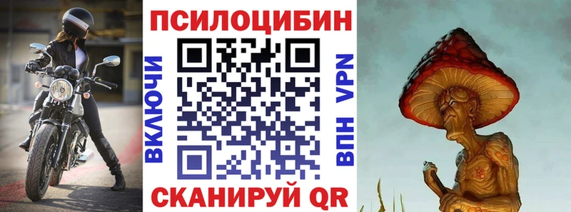 Галлюциногенные грибы мицелий  цены наркотик  Назрань 